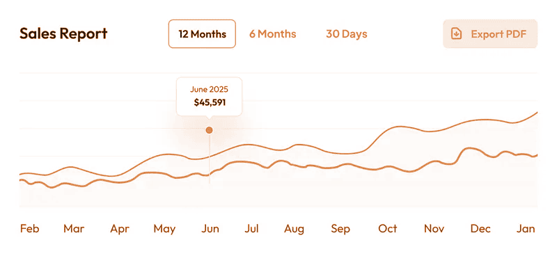 Sales report line chart showing revenue growth from SEO services for Houston businesses